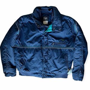 Vintage Roffe Skiwear Men’s XL Blue/Teal Insulated Ski Jacket Pinstripe Zip Snap